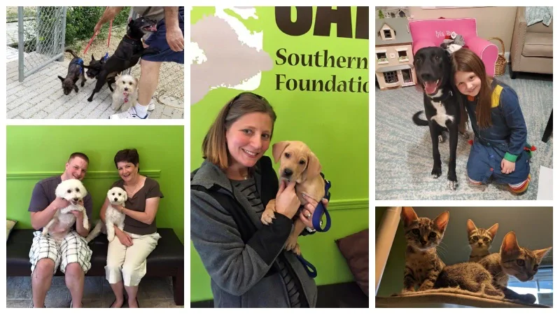 Affordable Animal Hospital New Orleans