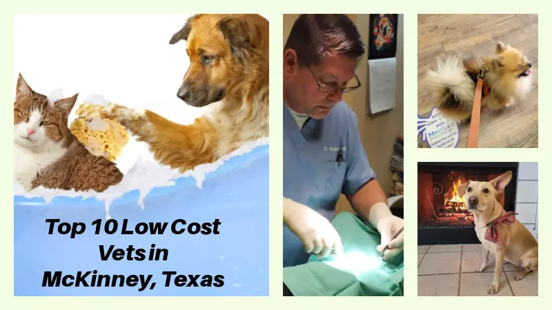Cheap Veterinarian For Dogs in McKinney