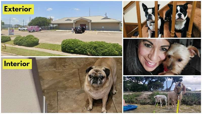 Animal Clinic of Flour Bluff Low Cost Vet