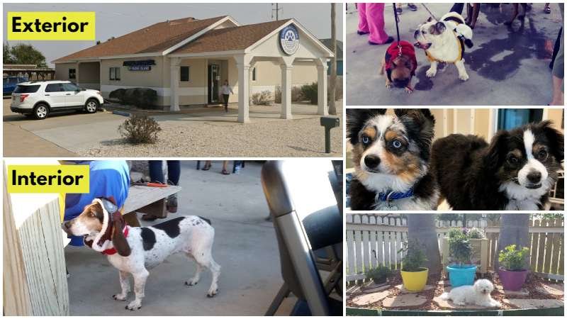 Animal Hospital of Padre Island