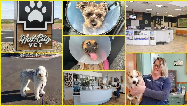 Cheap Vets in Lubbock