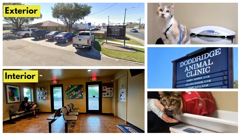 Low Cost Vets like Doddridge Animal Clinic