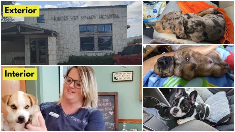 Nueces Veterinary Hospital