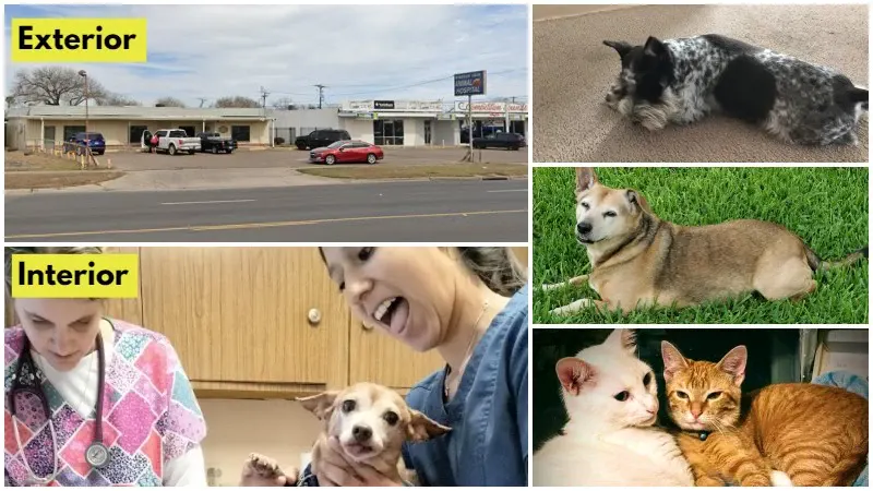 Windsor Park Animal Hospital