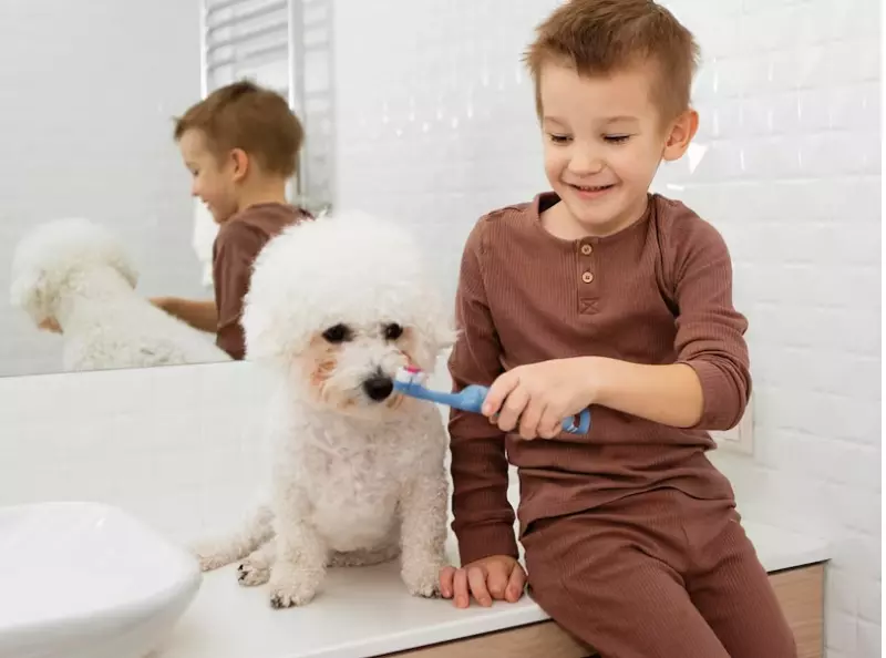 Dental Maintenance for Oral Health