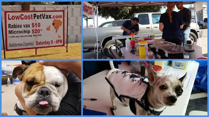 low cost pet vax Irving tx