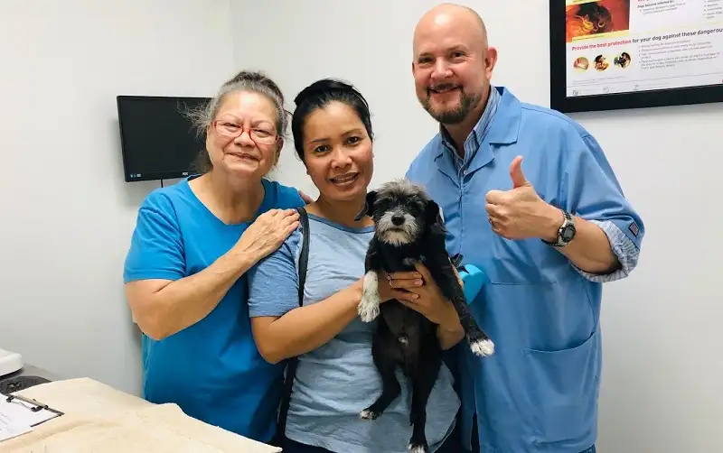 affordable vets in Houston Tx