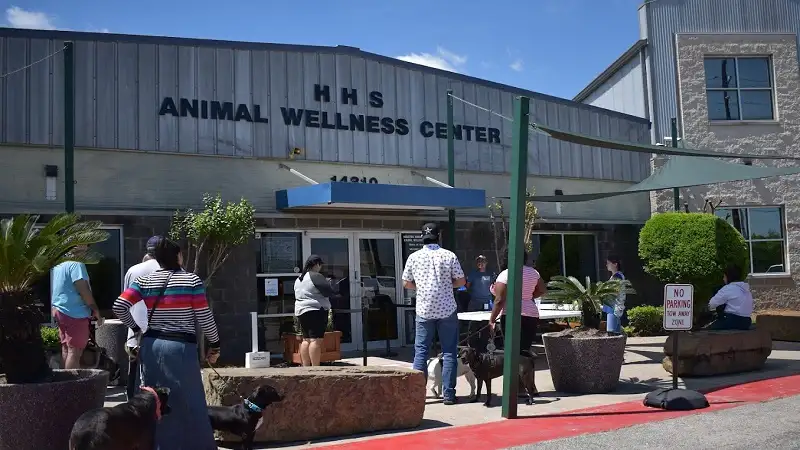 low cost vet clinic houston
