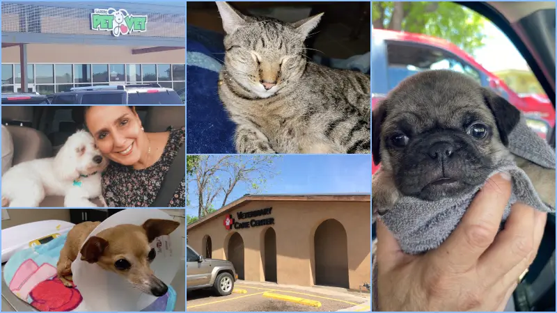 Low Cost Vets in Laredo Tx