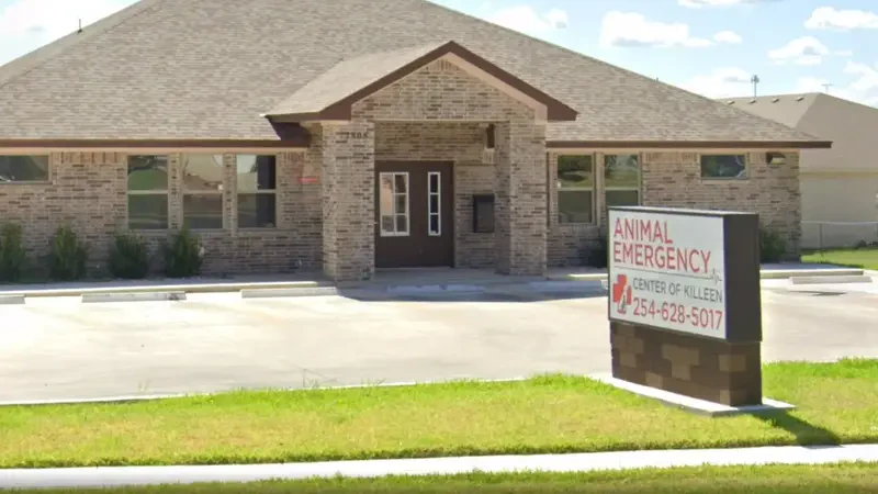 affordable pet clinic in Killeen Tx
