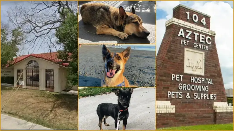 Low Cost Vets in Killeen Tx