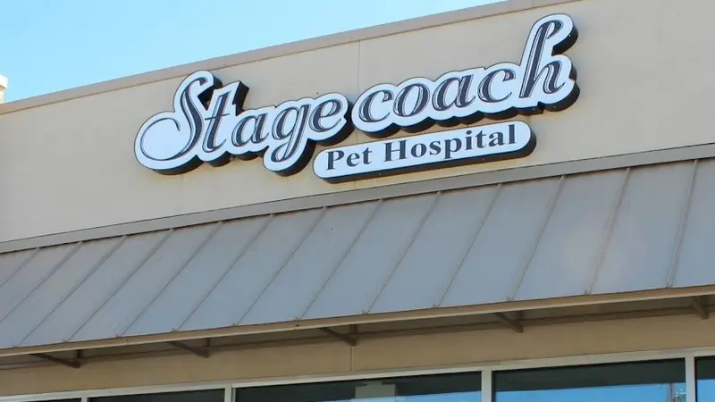 Low Cost Vet Killeen Tx