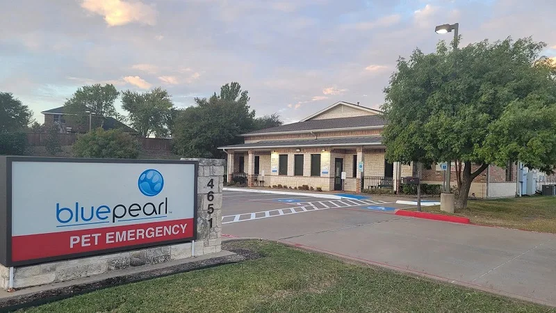 Low Cost Vets in Mesquite Tx