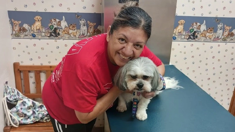 South Mesquite Veterinary Hospital