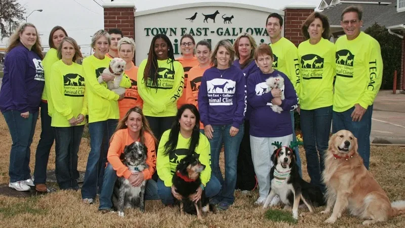 Town East-Galloway Animal Clinic