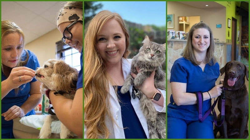 Cheap Vets in Denton tx